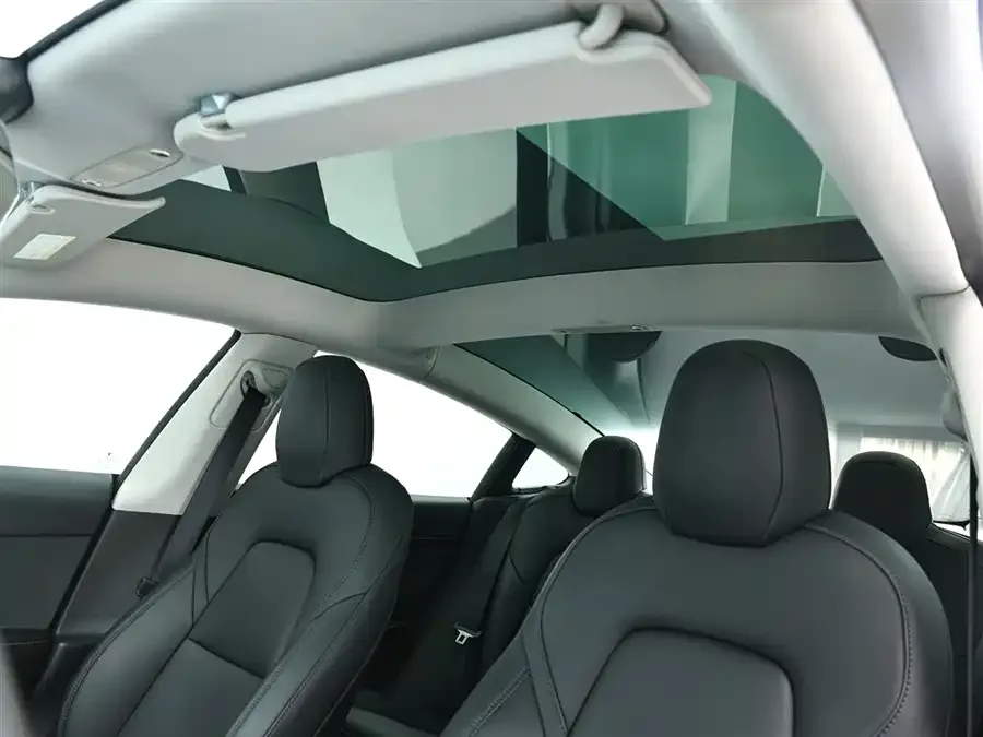 Tesla Model 3 Model 3 2022 rear-wheel drive version 2023 — миниатюра 4