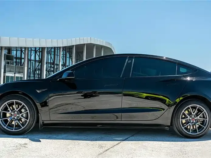 Tesla Model 3 Model 3 2022 rear-wheel drive version 2022 — миниатюра 2