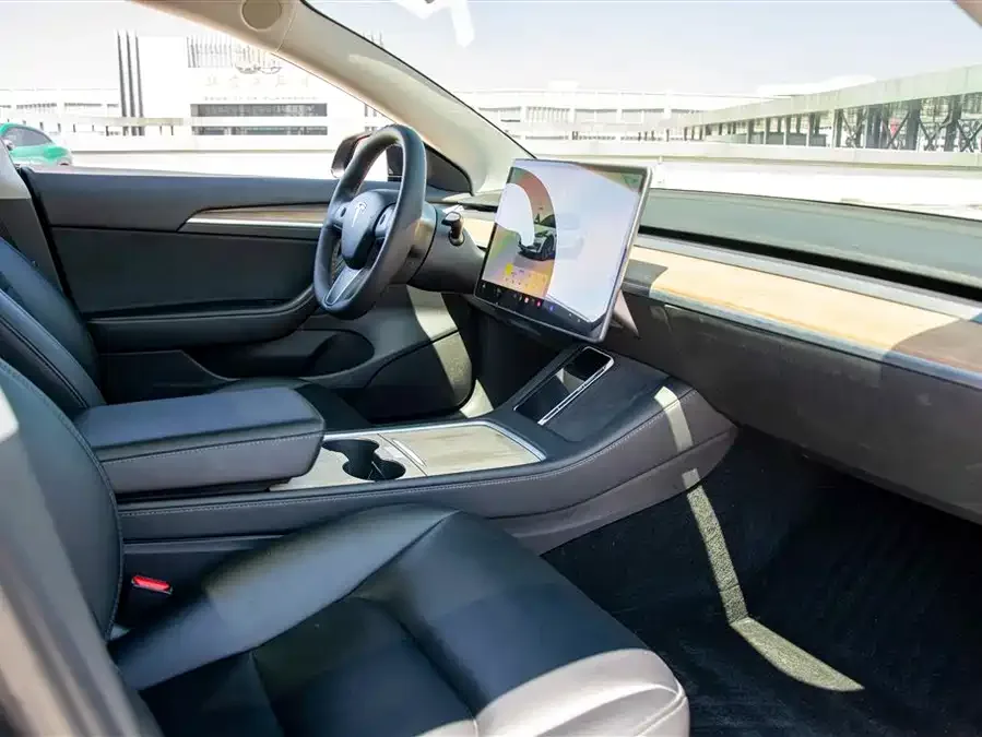 Tesla Model 3 Model 3 2022 rear-wheel drive version 2022 — миниатюра 4