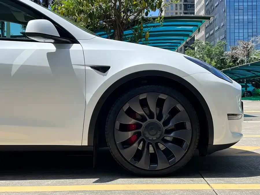 Tesla Model Y Model Y 2023 high-performance all-wheel drive version 2023 — миниатюра 4