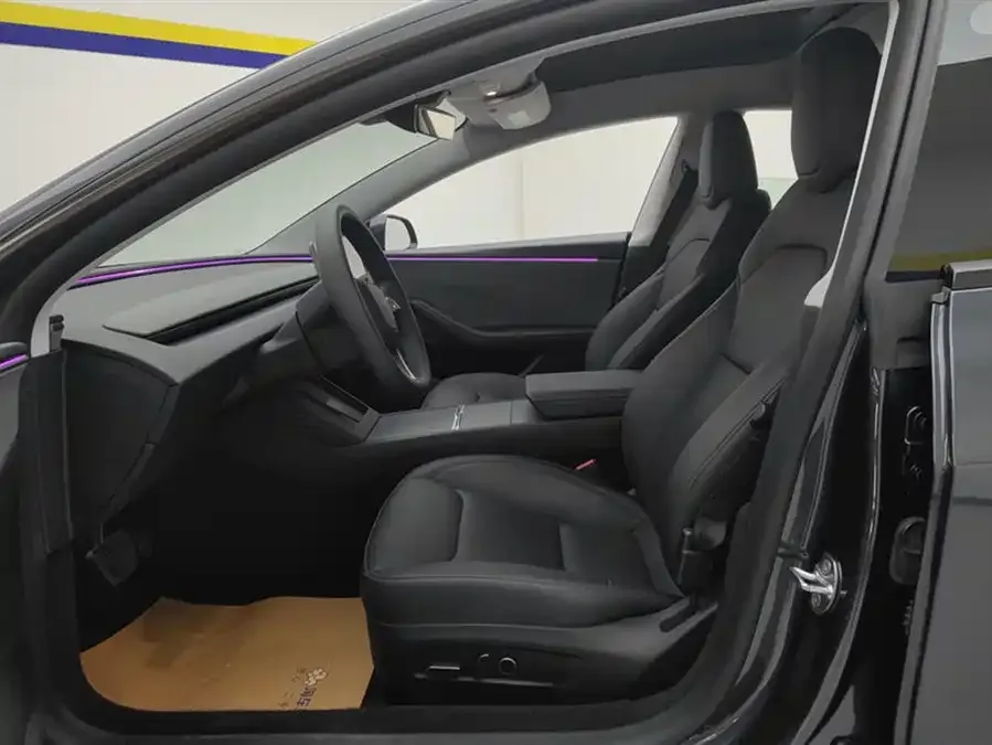 Tesla Model 3 Model 3 2025 rear-wheel drive version 2025 — миниатюра 3