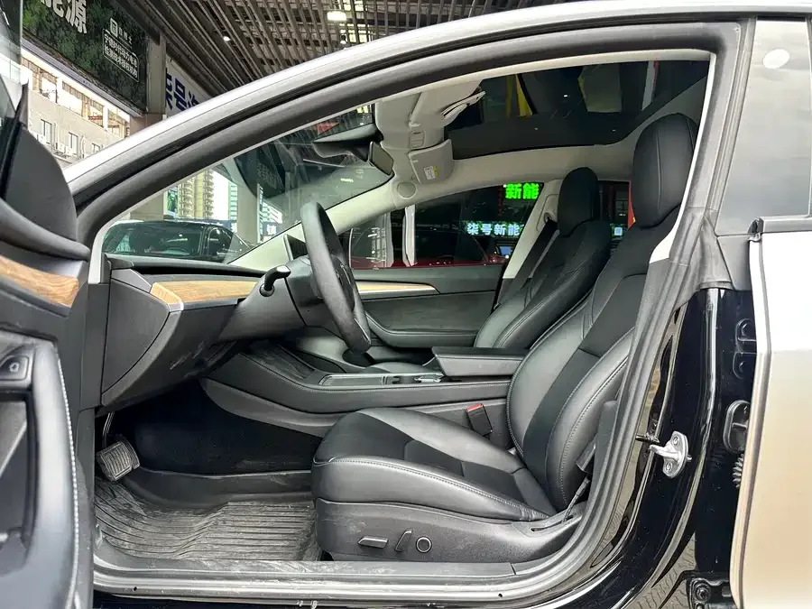 Tesla Model 3 Model 3 2022 rear-wheel drive version 2022 — миниатюра 2