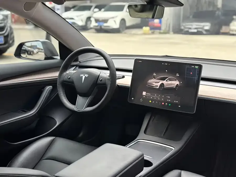 Tesla Model 3 Model 3 2022 rear-wheel drive version 2022 — миниатюра 4