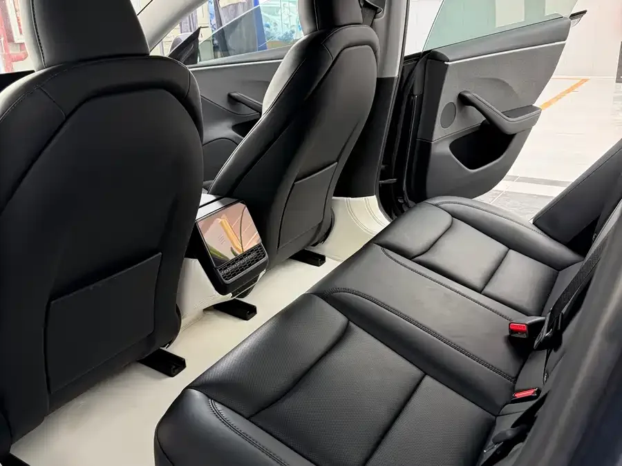 Tesla Model 3 Model 3 2023 rear-wheel drive version 2024 — миниатюра 5