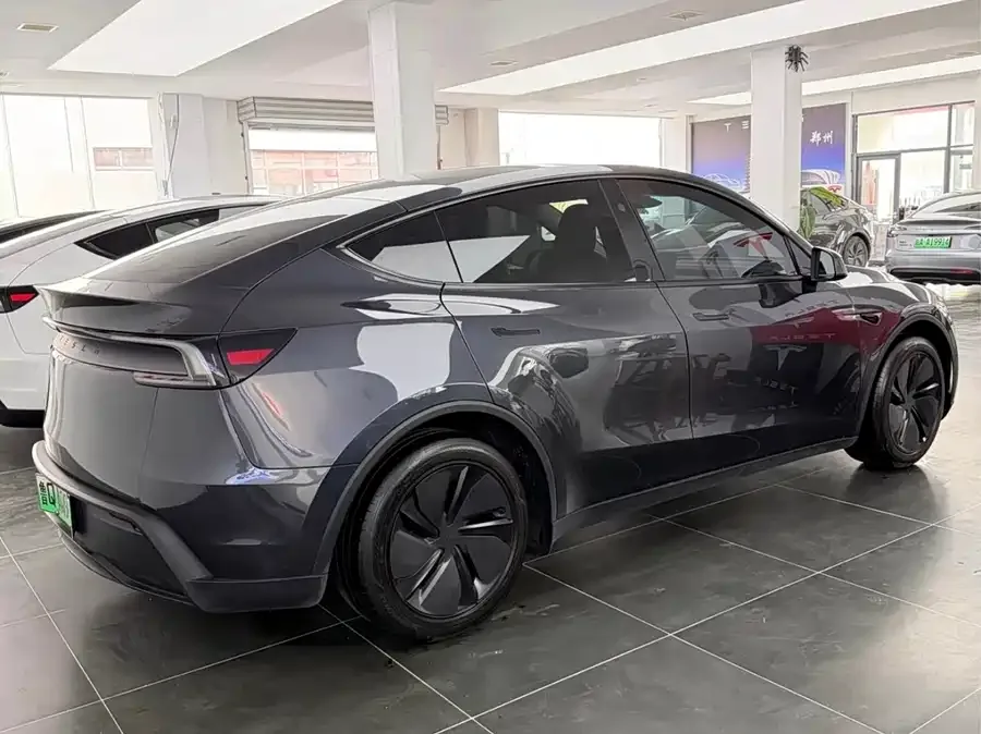Tesla Model Y Model Y 2025 rear-wheel drive version 2025 — миниатюра 4