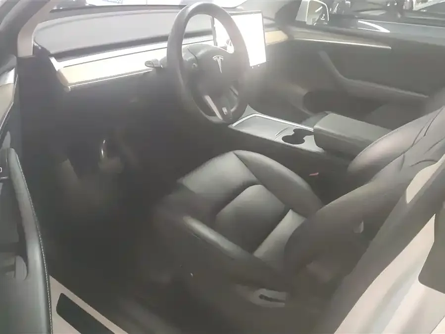 Tesla Model Y Model Y 2022 rear-wheel drive version 2022 — миниатюра 3