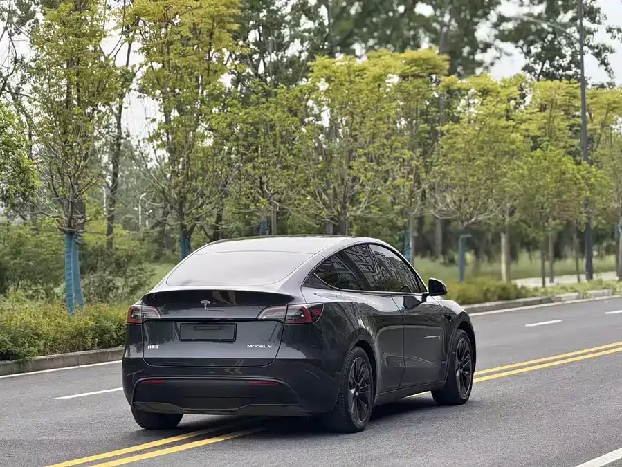 Tesla Model Y Model Y 2024 rear-wheel drive version 2024 — миниатюра 5