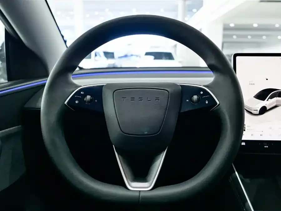 Tesla Model Y Model Y 2025 rear-wheel drive version 2025 — миниатюра 2