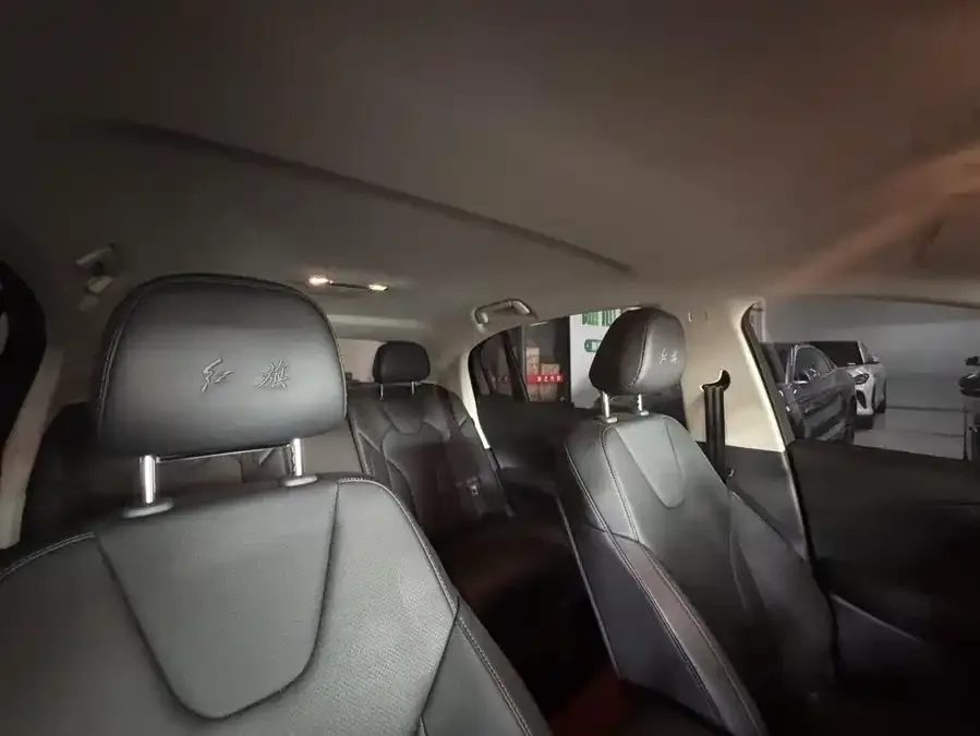 Hongqi E-QM5 Hongqi E-QM5 2023 Basic Travel Edition 2023 — миниатюра 3