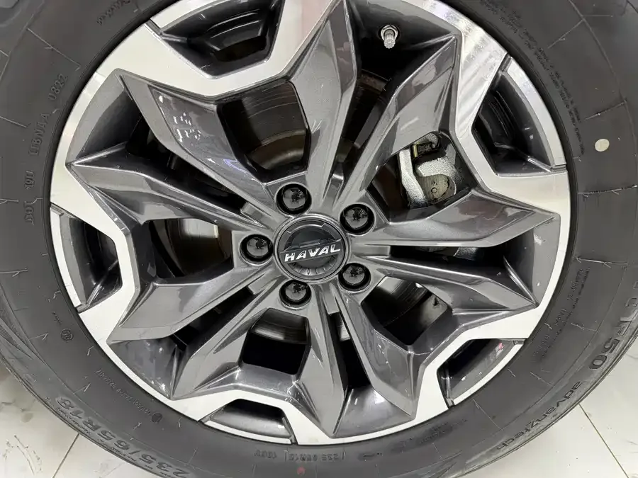 Haval Big dog Haval Big Dog 2022 2.0T DCT 4WD Chinese Pastoral Dog Edition 2022 — миниатюра 5