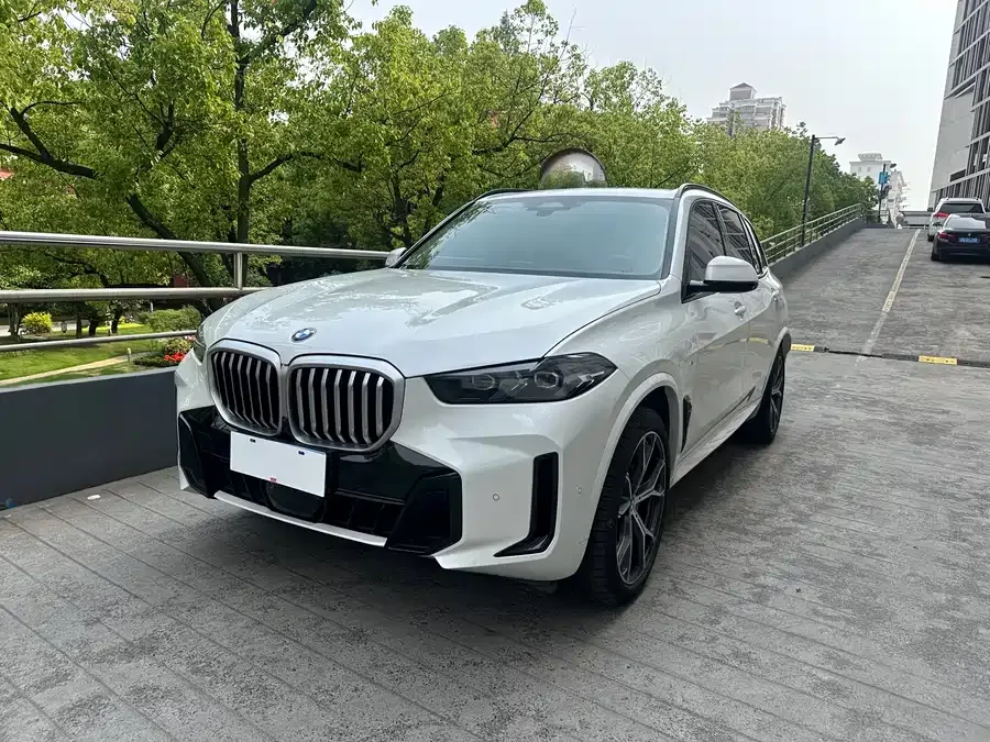 BMW X5 2024