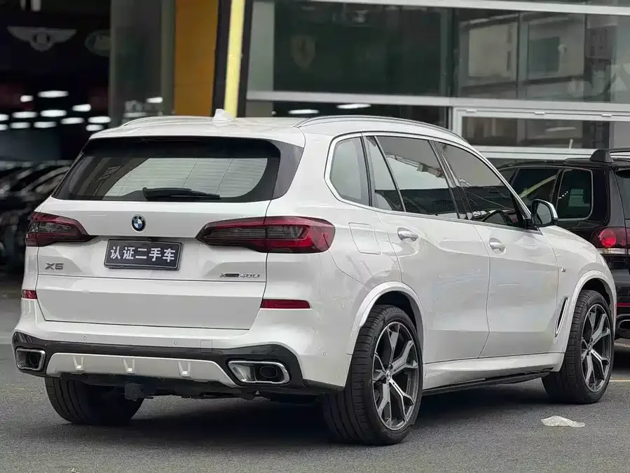 BMW X5 2022 xDrive 30Li Exclusive M Sport Package 2022 — миниатюра 4
