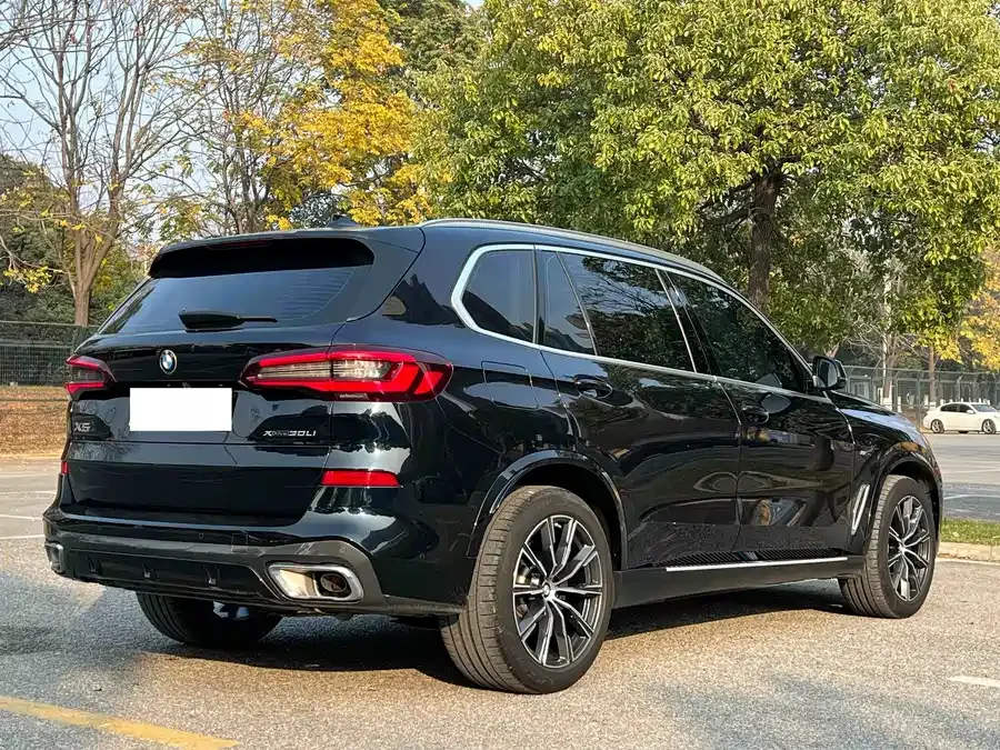 BMW X5 2022 xDrive 30Li Exclusive M Sport Package 2023 — миниатюра 5