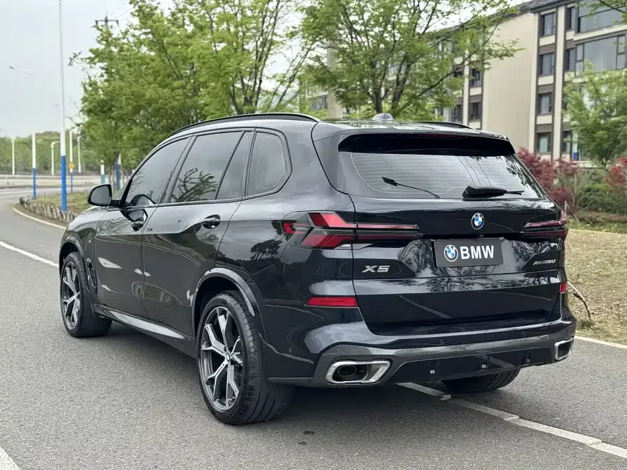BMW X5 2023 xDrive 30Li Exclusive M Sport Night Edition 2024 — миниатюра 2