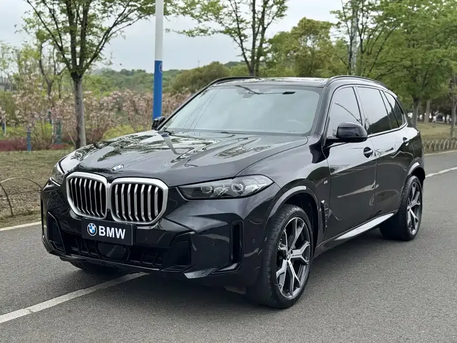 BMW X5 2024
