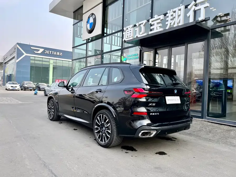 BMW X5 2025 xDrive 40Li M Sport Night Edition 2025 — миниатюра 3