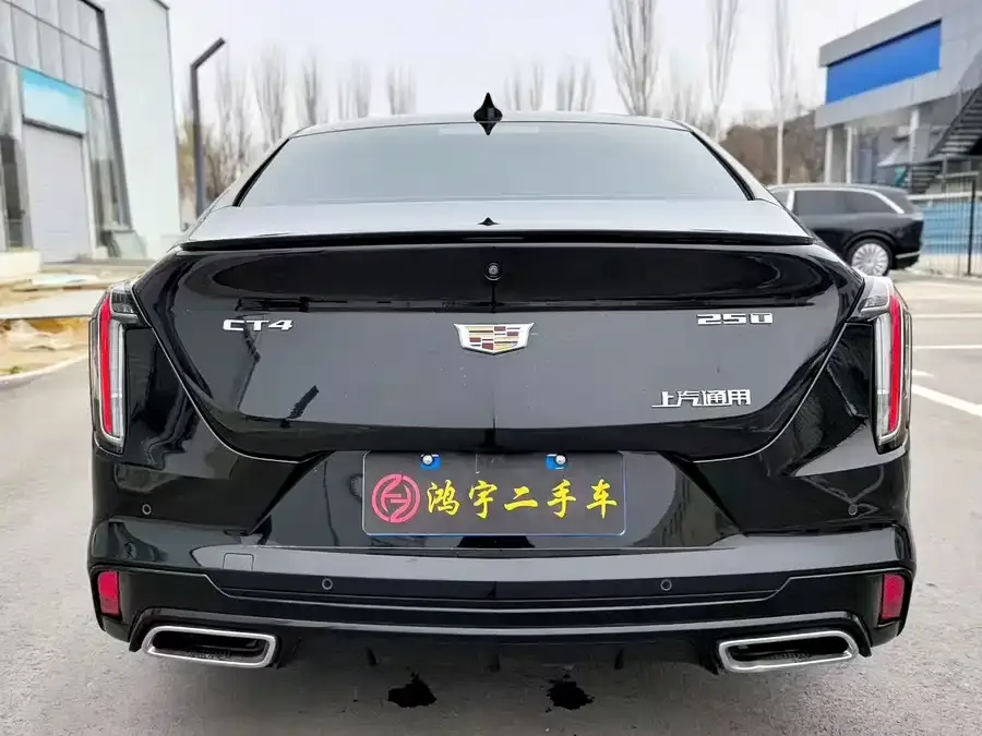 Cadillac CT4 2023 25T Luxury Edition 2024 — миниатюра 5