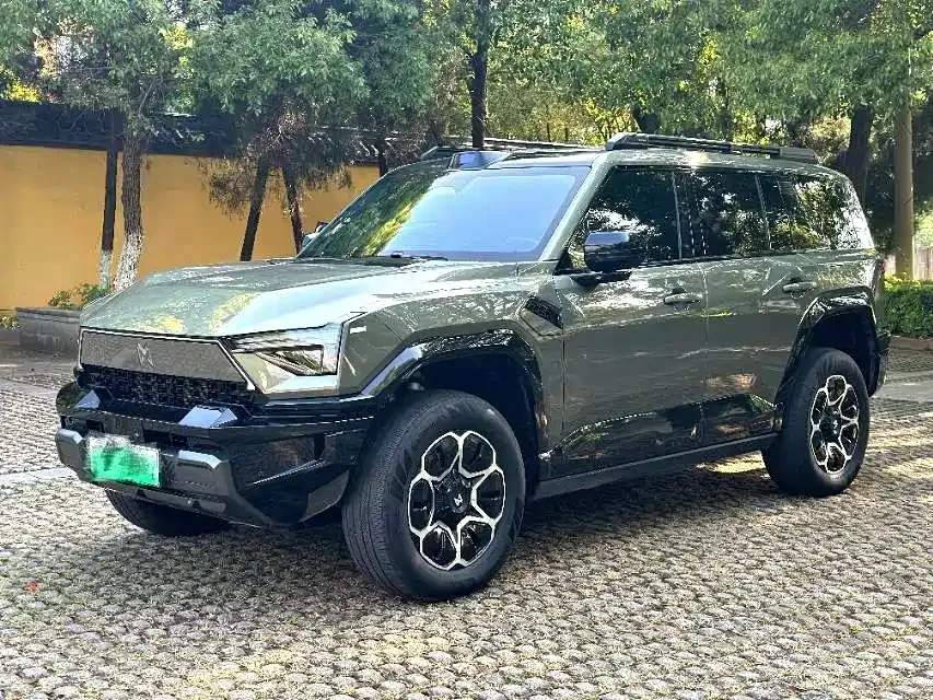 Mengshi M817 2025