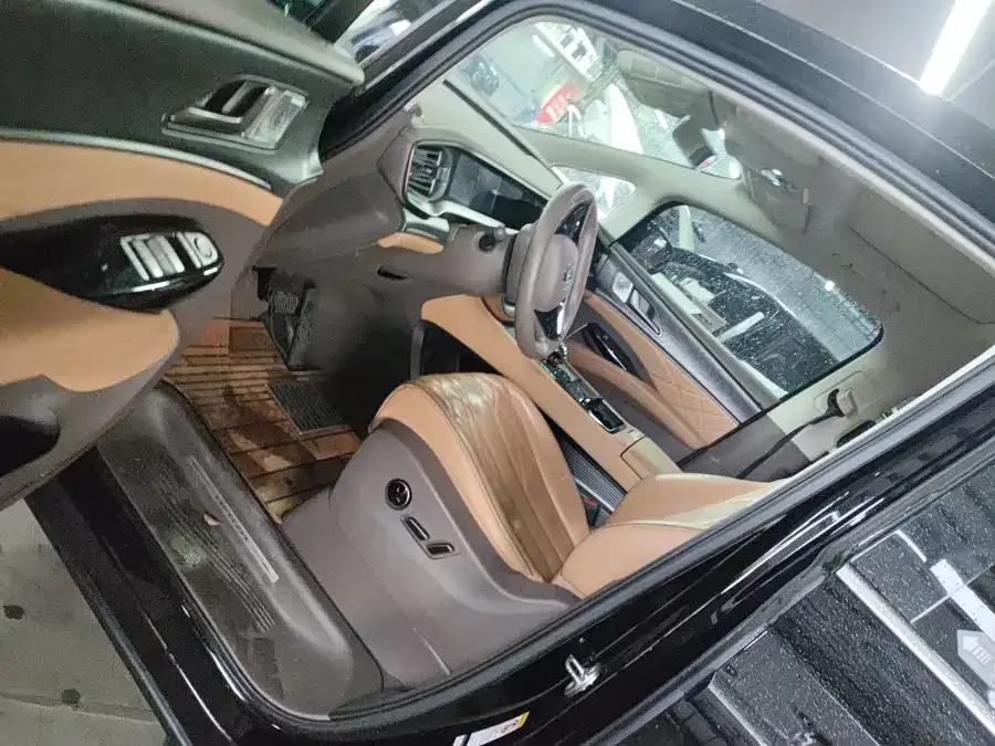 BYD D9 DENZA D9 2022 DM-i 1040 Premium Edition 2023 — миниатюра 2