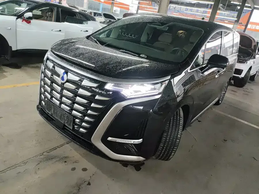 BYD D9 2023