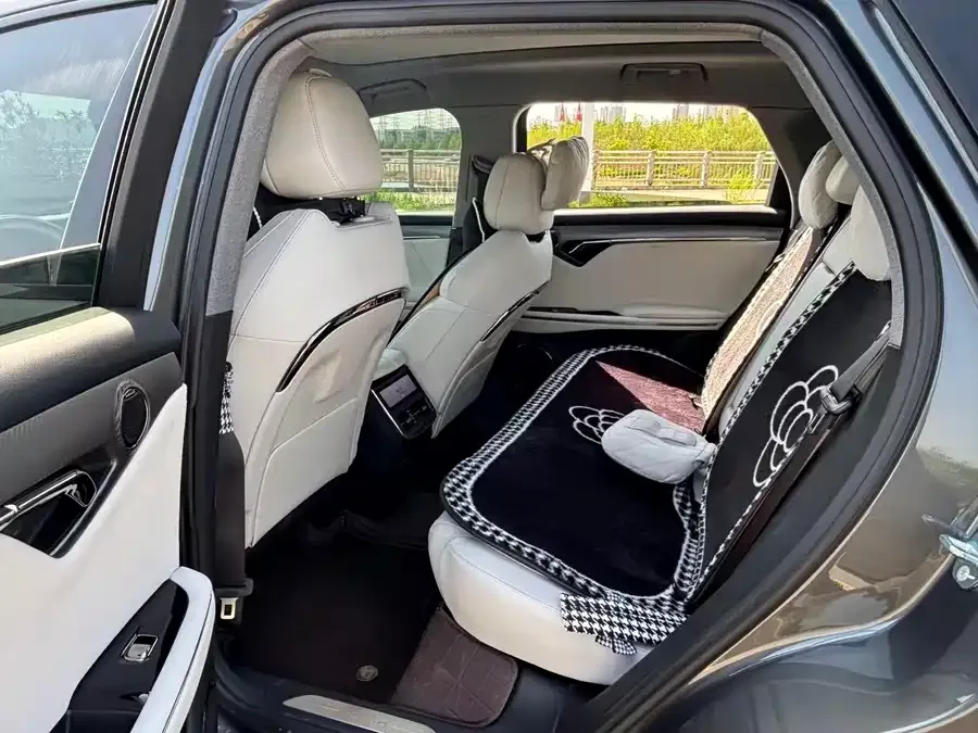 Voyah Lantu FREE VOYAH FREE 2025 318 318km RWD Touring Edition 2025 — миниатюра 2