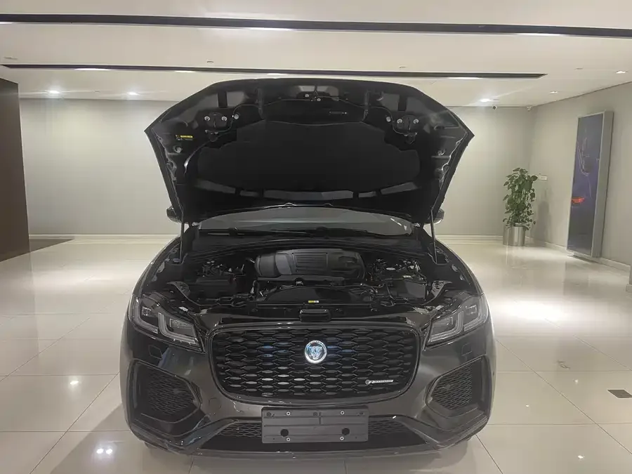 Jaguar F-Pace 2024 P250 R-Dynamic SE 2023 — миниатюра 3