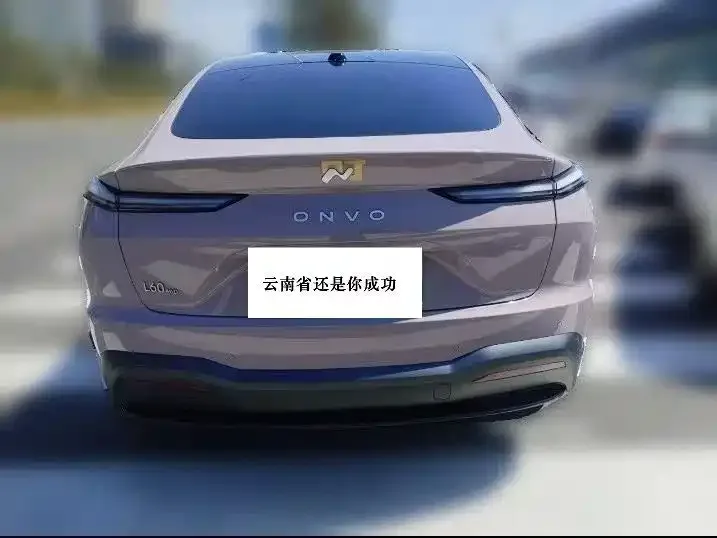 Lok Dao L60 Ledao L60 2024 60kWh 4WD version 2025 — миниатюра 4