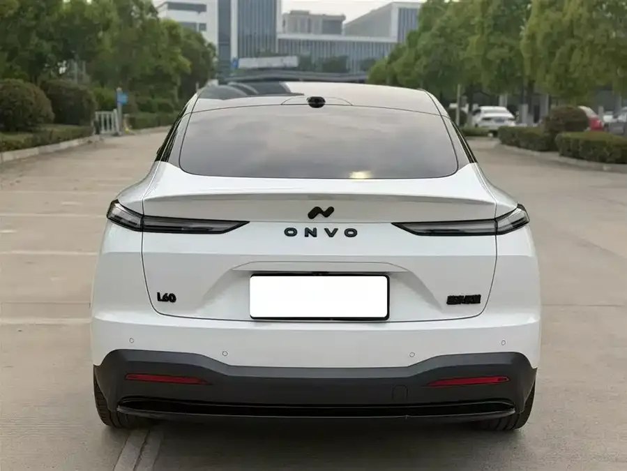 Lok Dao L60 Ledao L60 2024 60kWh rear-wheel drive version 2025 — миниатюра 3