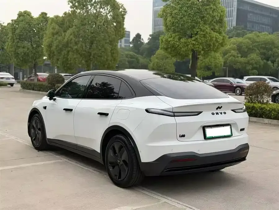 Lok Dao L60 Ledao L60 2024 60kWh rear-wheel drive version 2025 — миниатюра 5