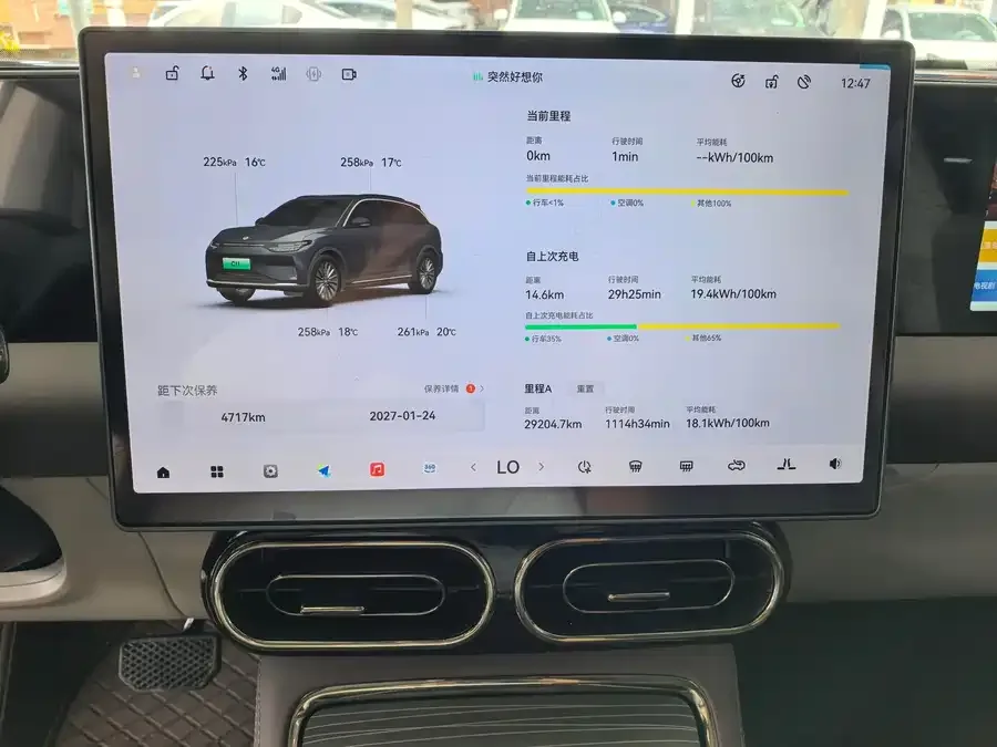 Leapmotor C11 Leapmotor C11 2024 Pure Electric 580 Premium Edition 2025 — миниатюра 5