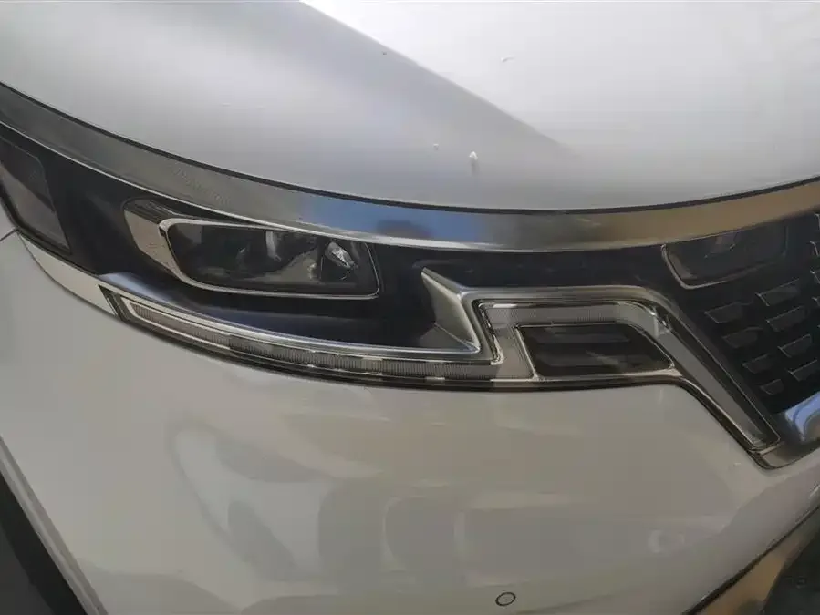 Kia Carnival Carnival 2021 2.0T Flagship Edition 2022 — миниатюра 5