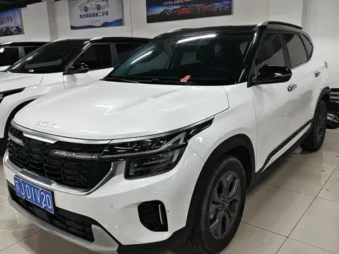 Kia Cyrus (Seltos) 2023 buy in Moscow