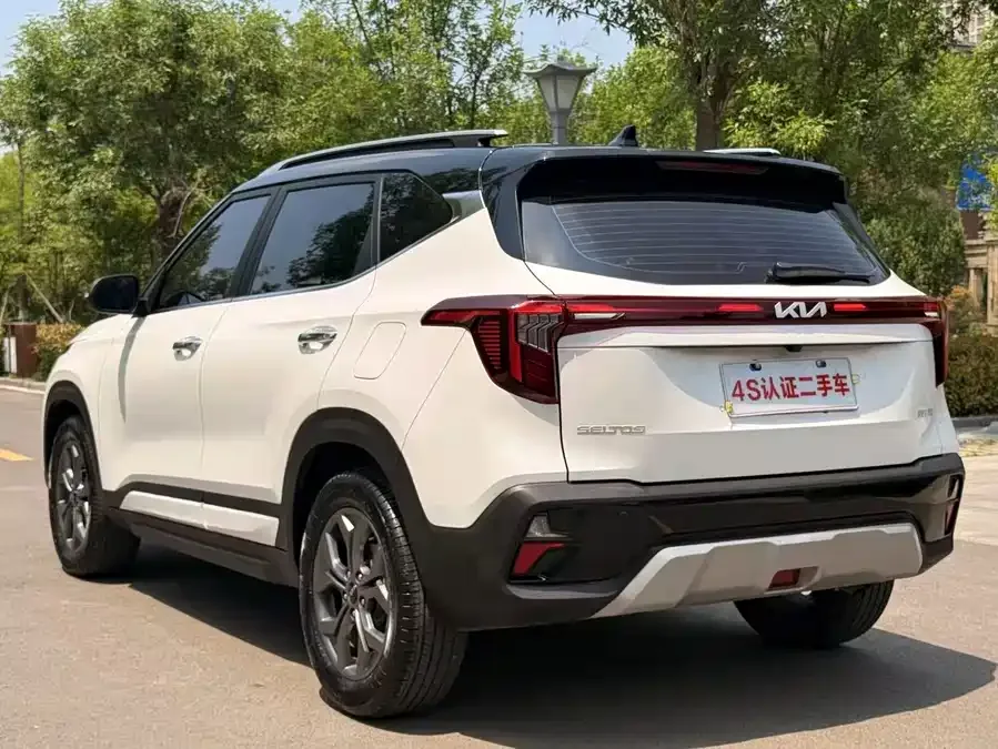 Kia Cyrus (Seltos) 2023 Certus 1.5L CVT Luxury Edition 2024 — миниатюра 4