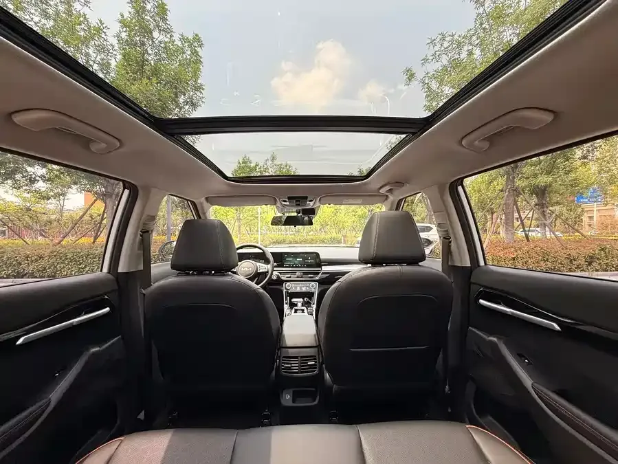 Kia Cyrus (Seltos) 2023 Certus 1.5L CVT Luxury Edition 2024 — миниатюра 5