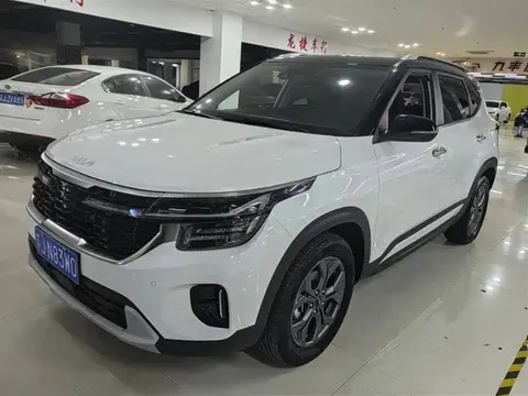Kia Cyrus (Seltos) 2023 buy in Moscow