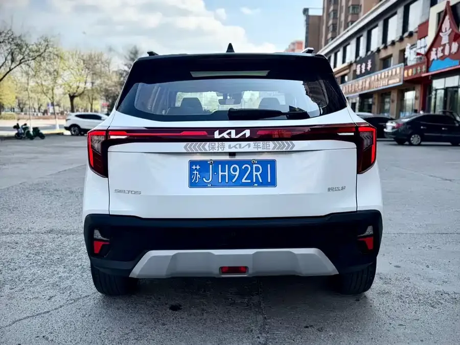 Kia Cyrus (Seltos) 2023 Certus 1.5L CVT Luxury Edition 2023 — миниатюра 2