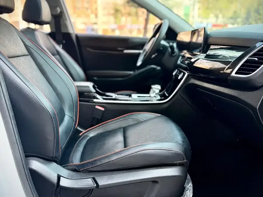 Kia Cyrus (Seltos) 2023 Certus 1.5L CVT Luxury Edition 2023 — миниатюра 4