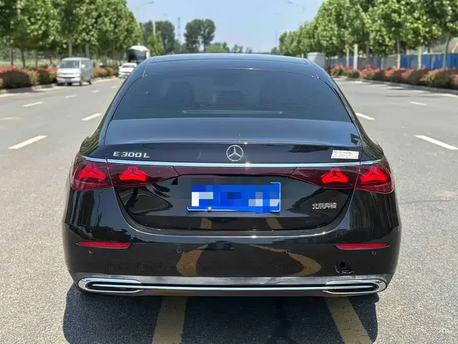 Mercedes-Benz E-Class Mercedes-Benz E-Class 2024 E 300 L Luxury Edition 2024 — миниатюра 5
