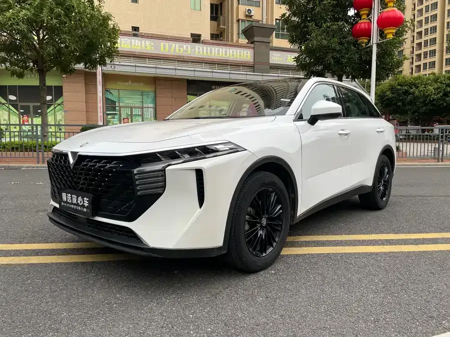 Venucia Big V 2023