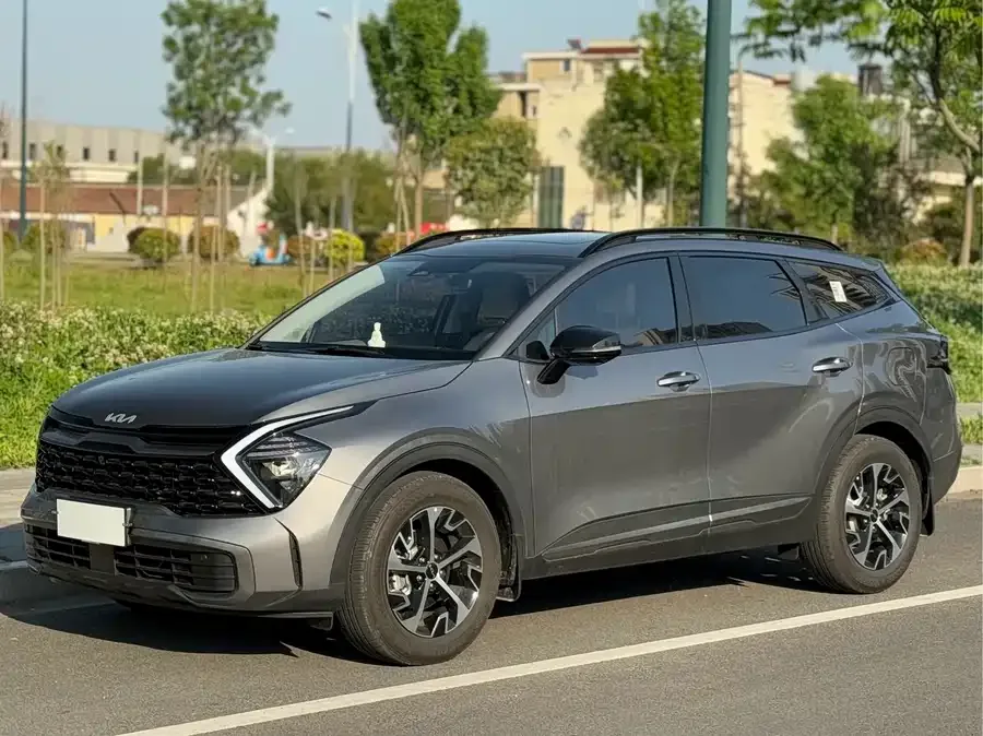 Kia Lion Platinum 2024
