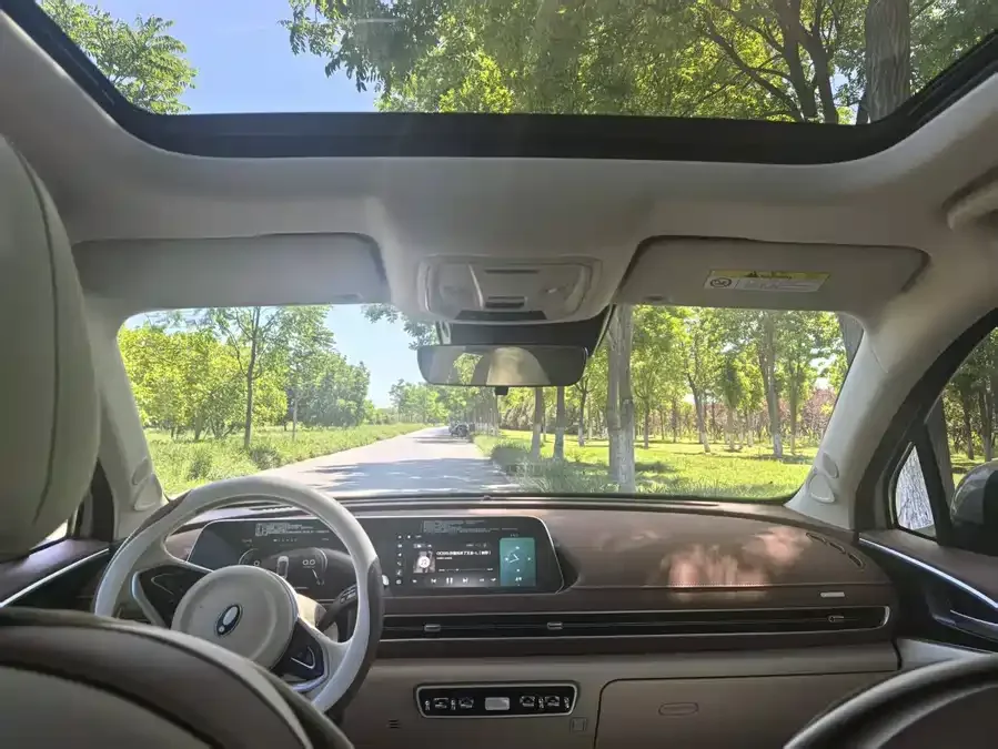ORA Good Cat ORA Good Cat 2024 401km Luxury Model 2025 — миниатюра 4