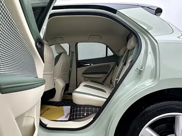 ORA Good Cat Euler Good Cat 2023 401km standard range luxury lithium iron phosphate 2024 — миниатюра 4