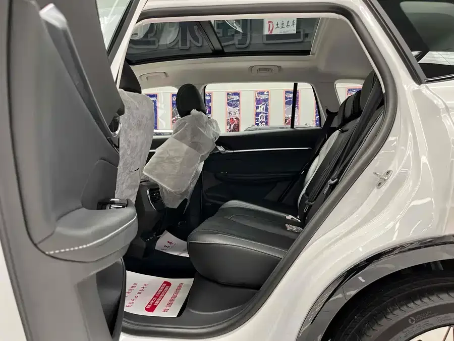 Roewe RX5MAX Roewe RX5 MAX 2022 1.5T Automatic Deluxe Edition 2024 — миниатюра 3