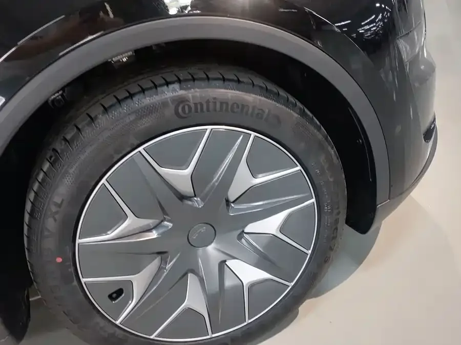 Tesla Model YL Model YL 2025 long-range all-wheel drive version 2026 — миниатюра 2