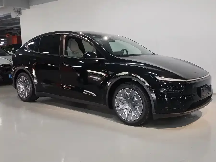 Tesla Model YL Model YL 2025 long-range all-wheel drive version 2026 — миниатюра 4
