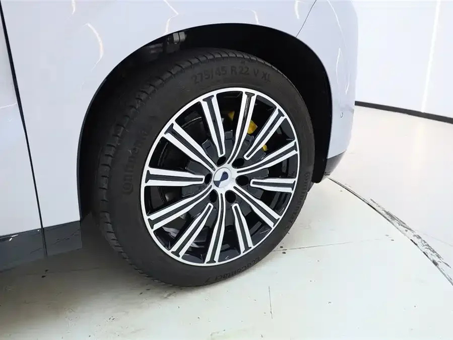 BYD N9 Denza N9 2025 Premium Edition 2025 — миниатюра 4
