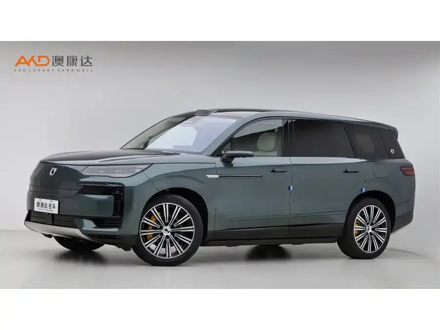 BYD N9 2025