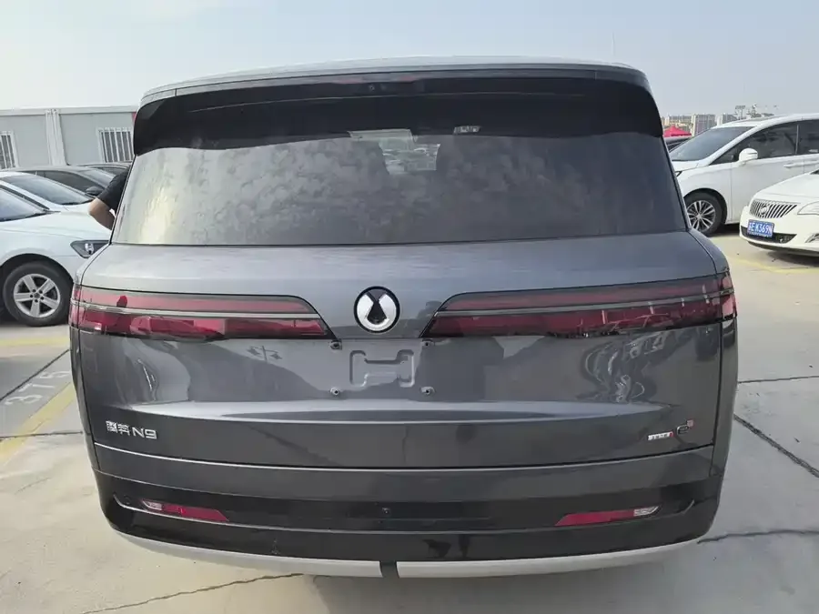 BYD N9 Denza N9 2025 Premium Edition 2025 — миниатюра 5