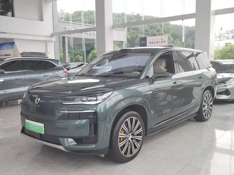 BYD N9 2025