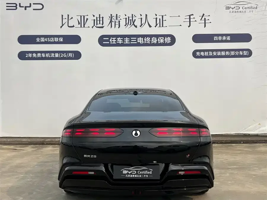 BYD Z9 Denza Z9 2024 1100km 4WD Max Edition 2025 — миниатюра 2